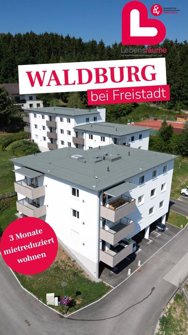 Wohnung – Waldburg