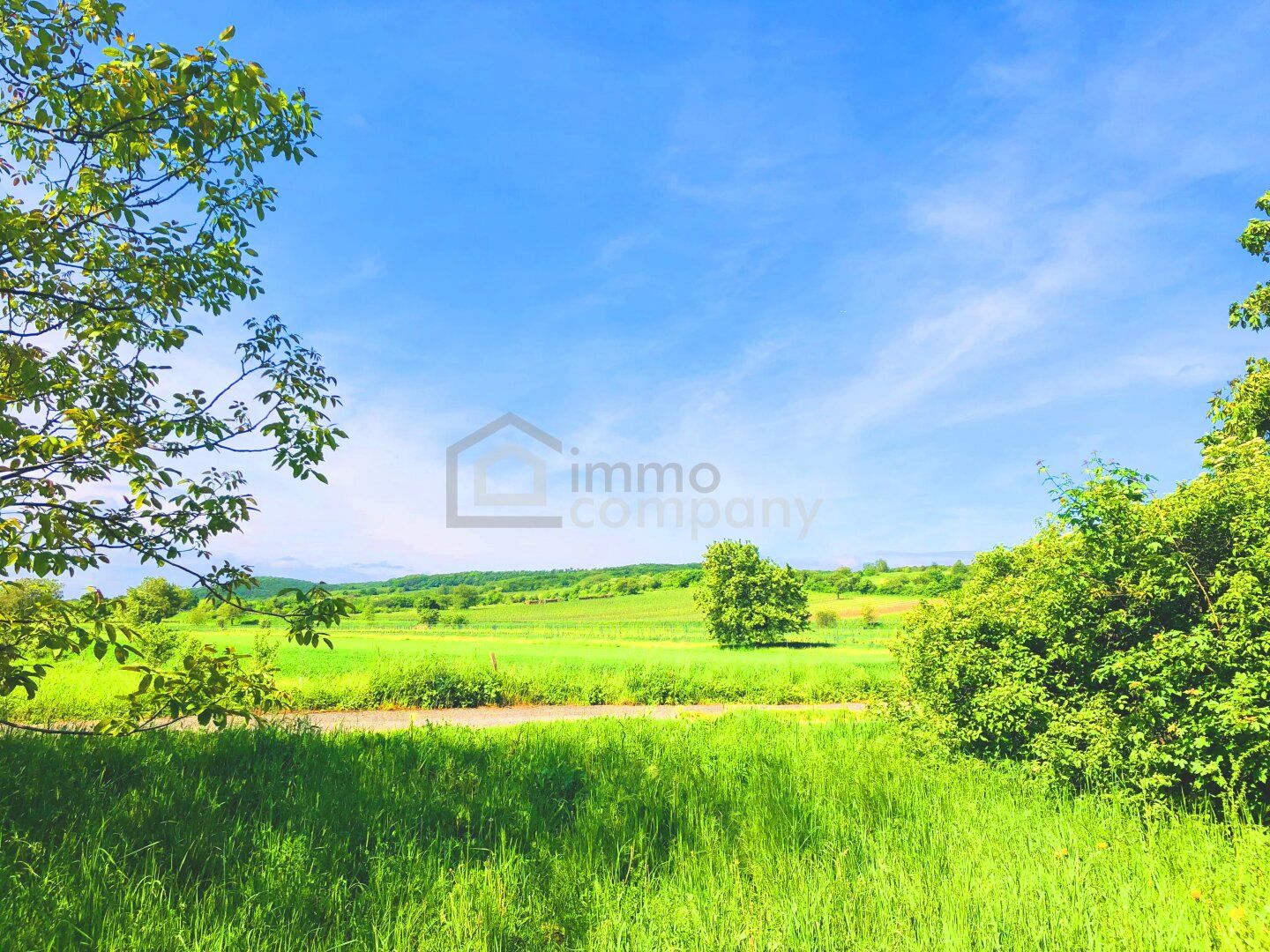 Grund, 2278 m²