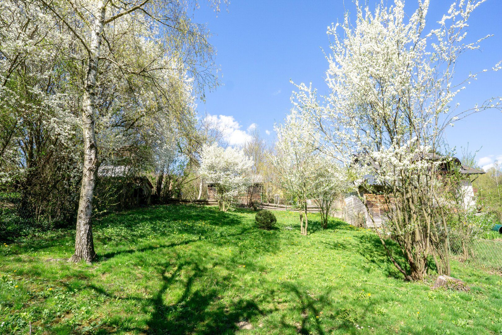 Malerischer Baugrund mit Grünlandanteil in Süd-Ruhelage am Riederberg - Ansicht 5