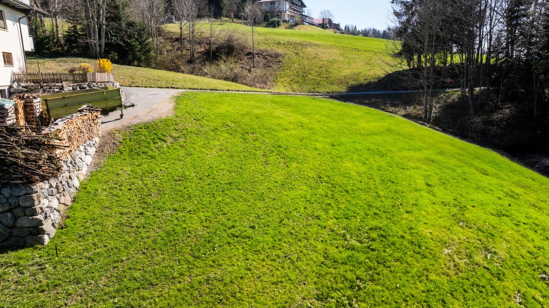 Möggers | Großzügiges Grundstück (1.577 m²) - Ansicht 3