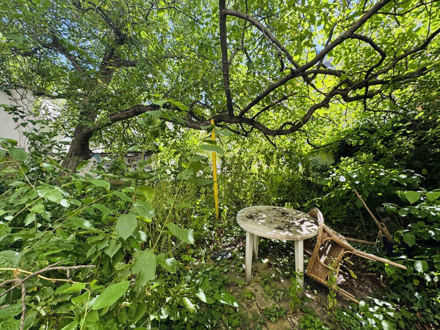 City Wohnung mit eigenem Garten im ruhigen Innenhof!