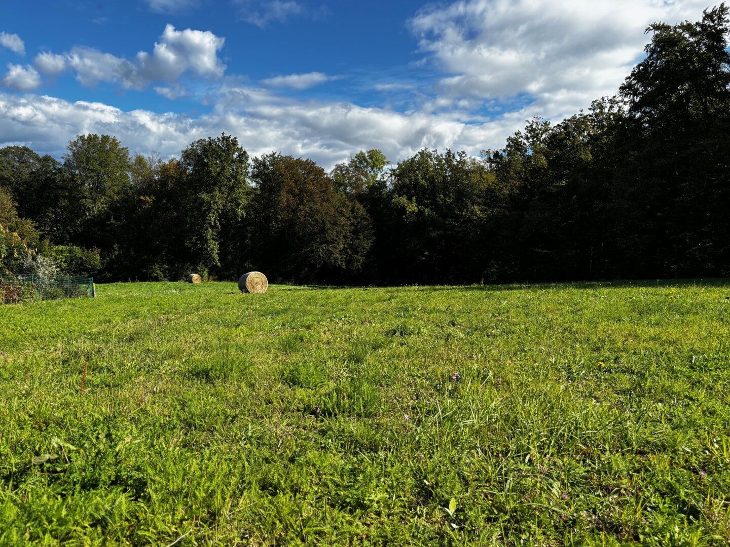 Baugrund G08 in ruhiger Aussichtslage, weitere Grundstücksgrößen verfügbar - Ansicht 5