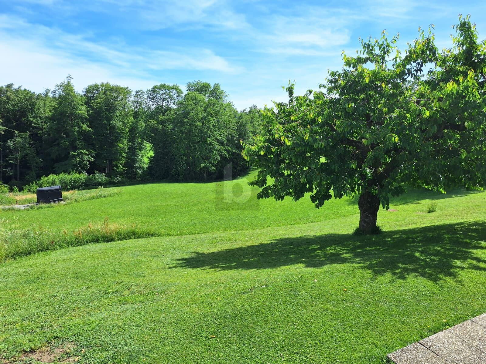 SELTENE GELEGENHEIT: BAUGRUND OHNE BAUZWANG ? UNVERBAUBARE AUSSICHT, SONNIGER SÜDHANG & TOP-WERTANLAGE - Ansicht 5