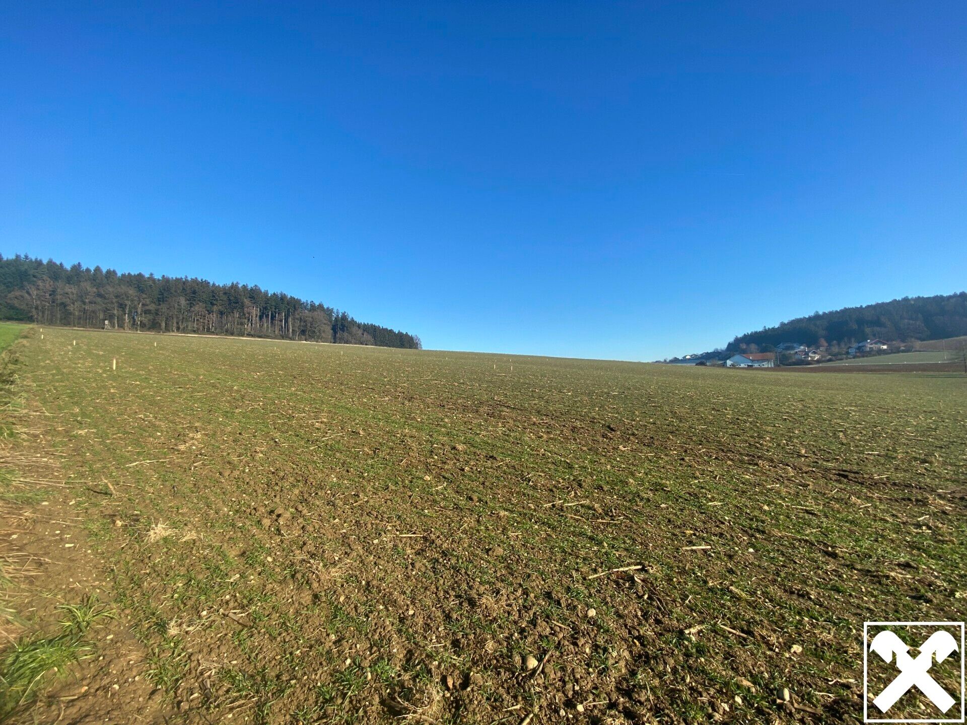Sonniges Baugrundstück in Gurten Gst-Nr. 927/11