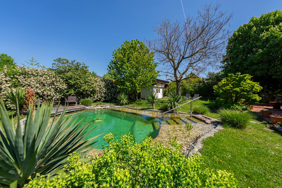 Mediterranes Wohngefühl im Weinviertel - Traumhaus mit Naturpool & Weitblick