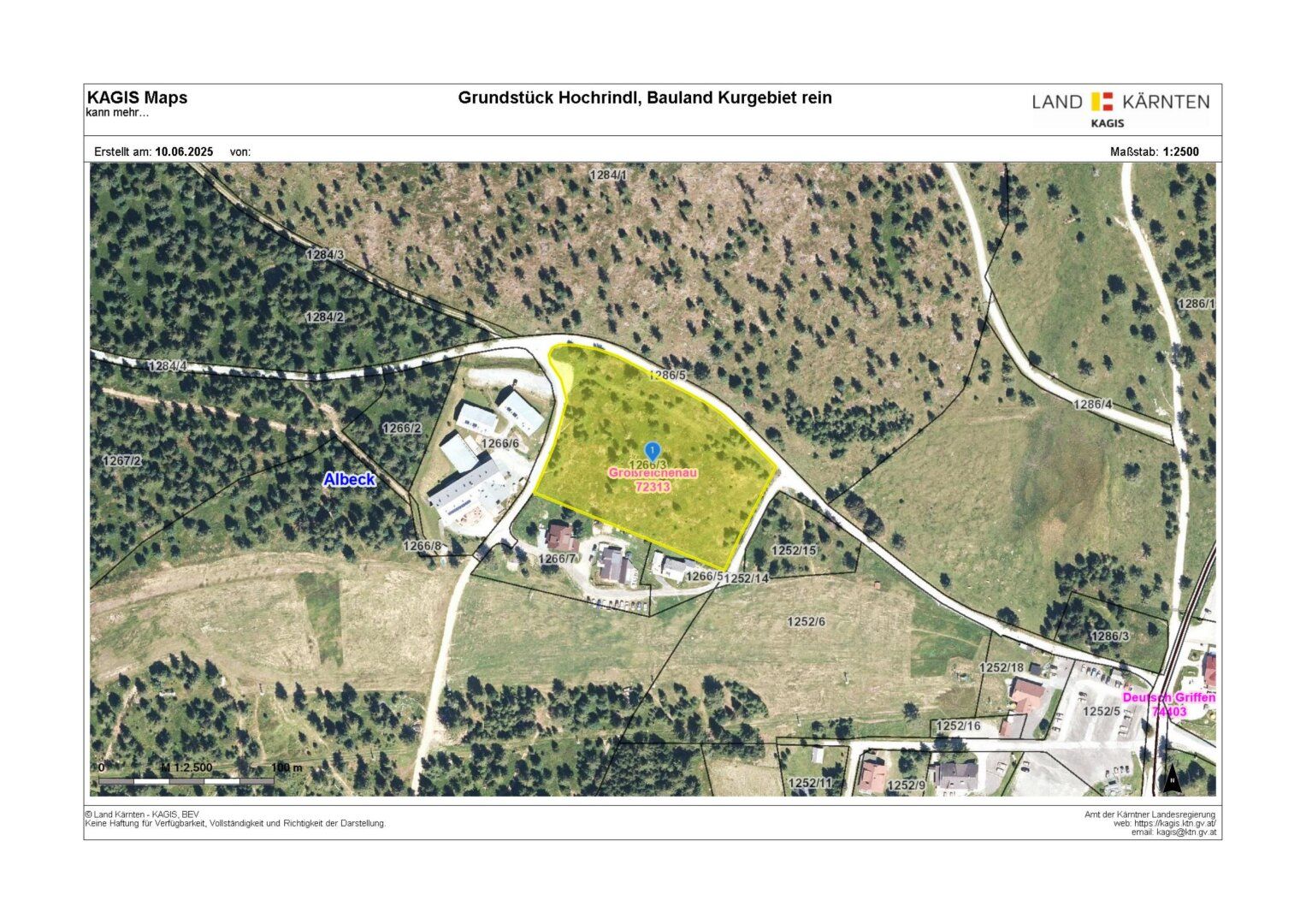 Attraktives 10.323 m² Baugrundstück direkt an der PISTE (Widmung: Bauland/Kurgebiet rein) - Ansicht 2