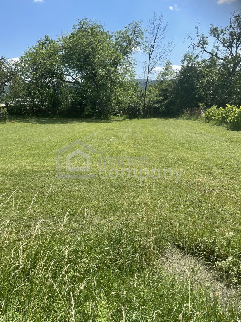 Genau richtig! Nicht zu groß und nicht zu klein. 692 m² Baugrundstück mit altem Nussbaum - Ansicht 2