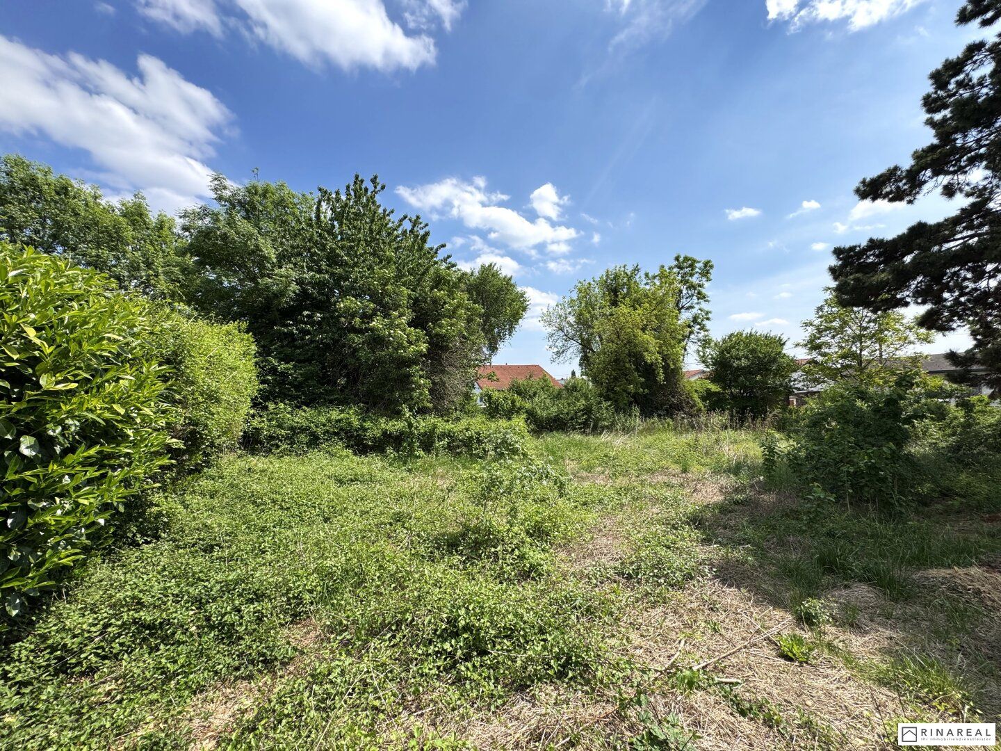 Zwei unbebaute Grundstücke | zusammen ca. 1.201 m² | Bauland Wohngebiet - maximal 2 Wohneinheiten pro GS | im Herzen von Leopoldsdorf - unweit der Hauptstraße