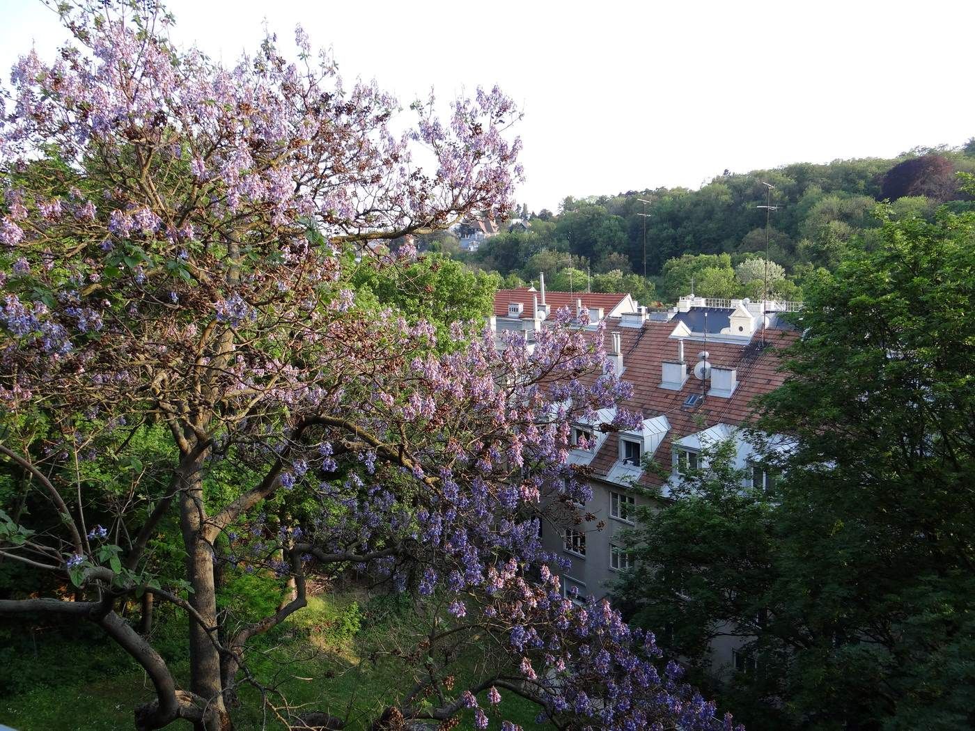 Grünruhelage in Pötzleinsdorf