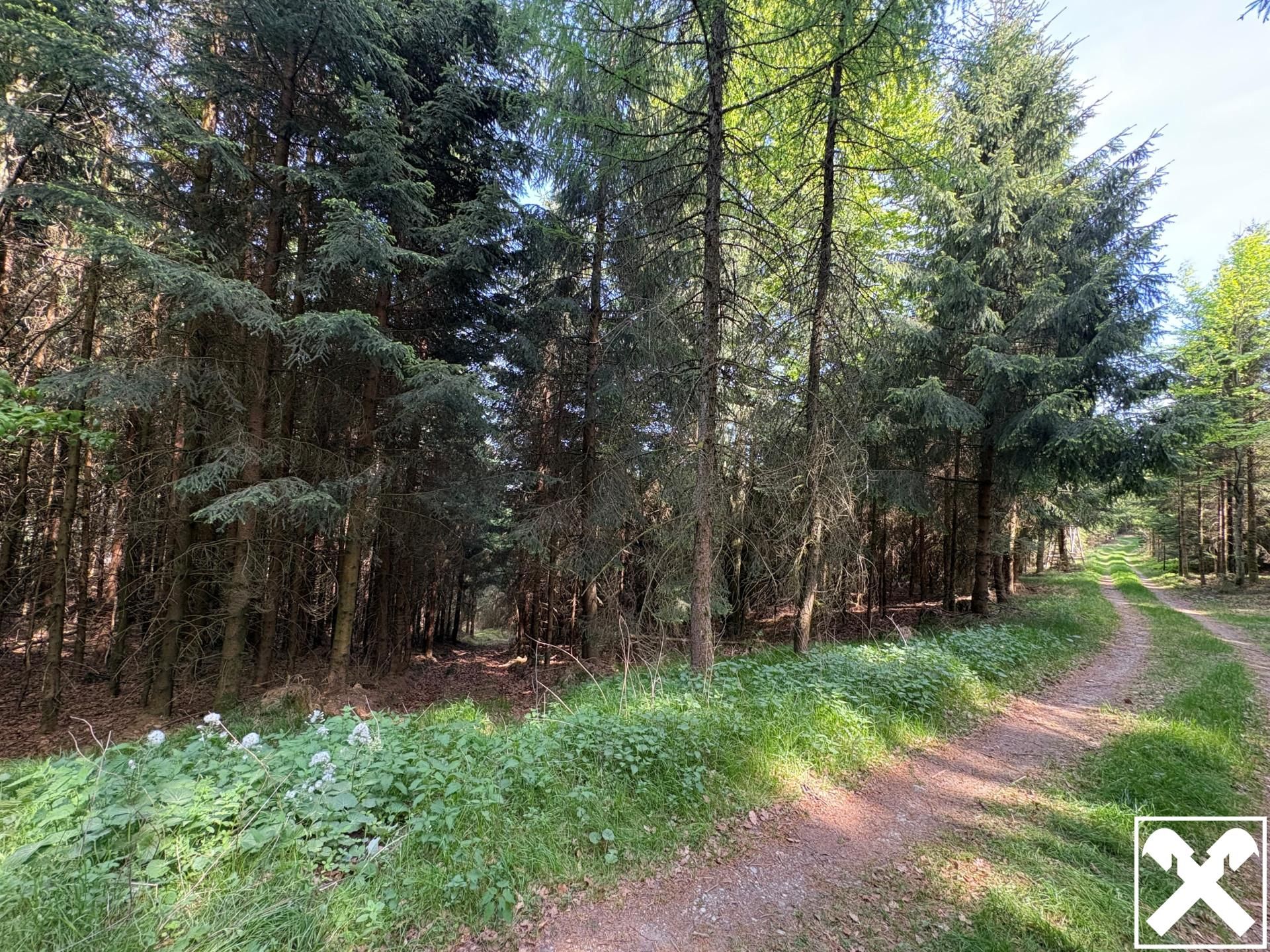 Waldfläche in Eberschwang/Hausruckwald - ca. 25.126 m² - Ansicht 4