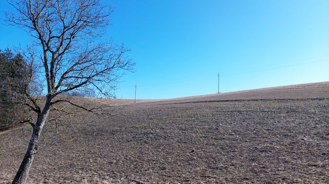 Wiese 3 (3)