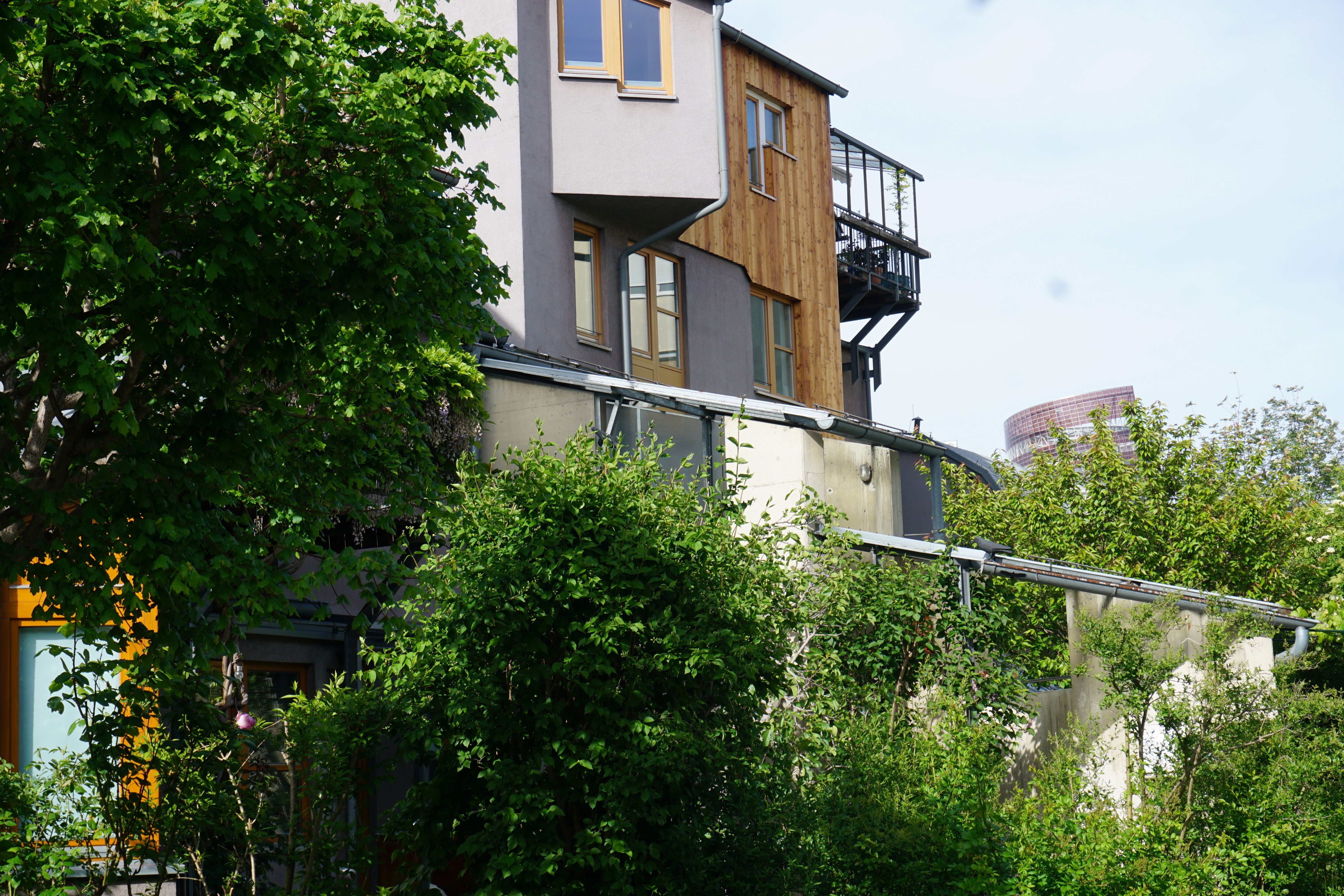 Architektenwohnung, urban im Grünen