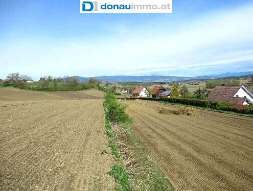 Provisionsfreies, sonniges Baugrundstück im aufstrebenden Groß St. Florian - Ansicht 5