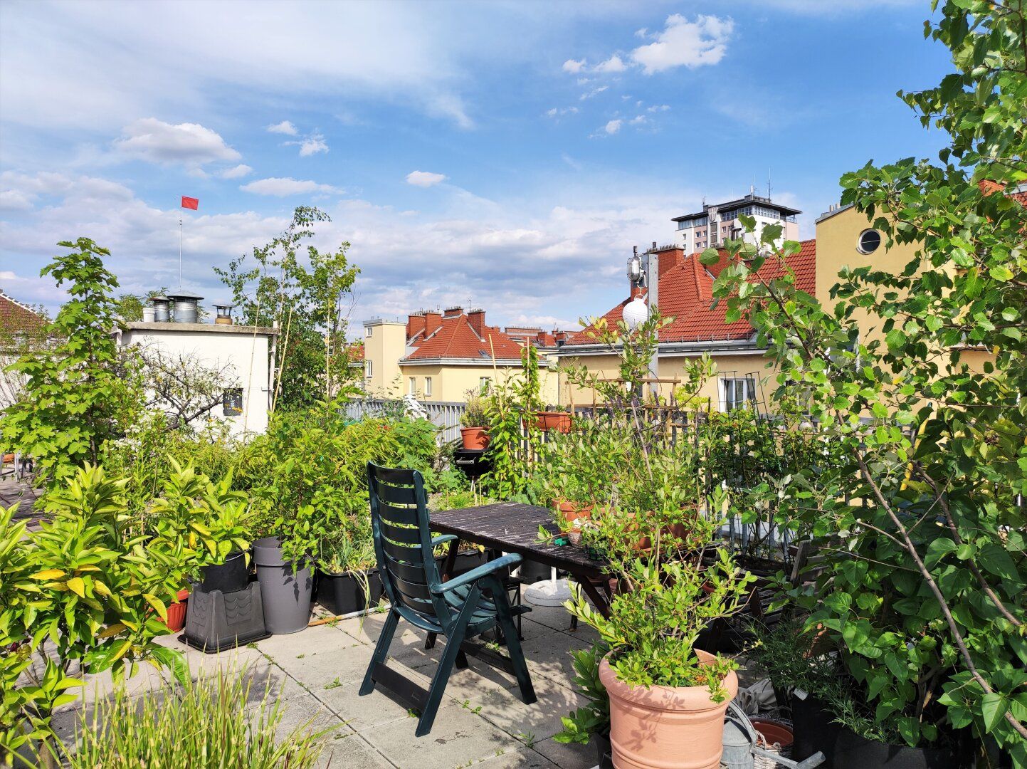 GEMEINSCHAFTSDACHTERRASSE: Garconniere in Hofruhelage