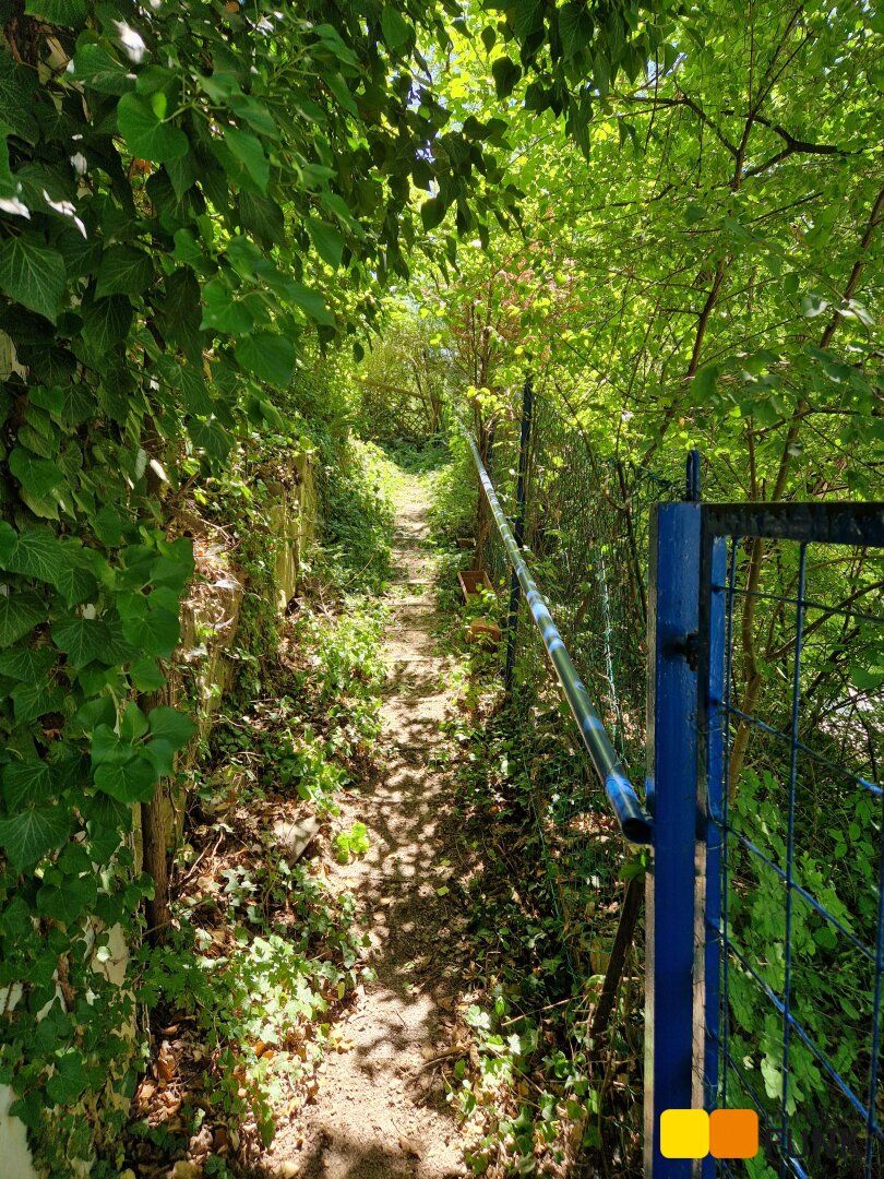 Leben im Grünen, nahe zu Wien - Ansicht 3
