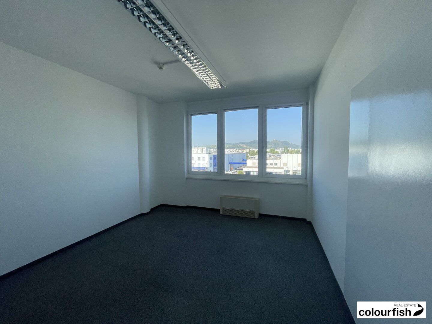 Helles Büro direkt bei S-Bahn Brünner Straße - Ansicht 4