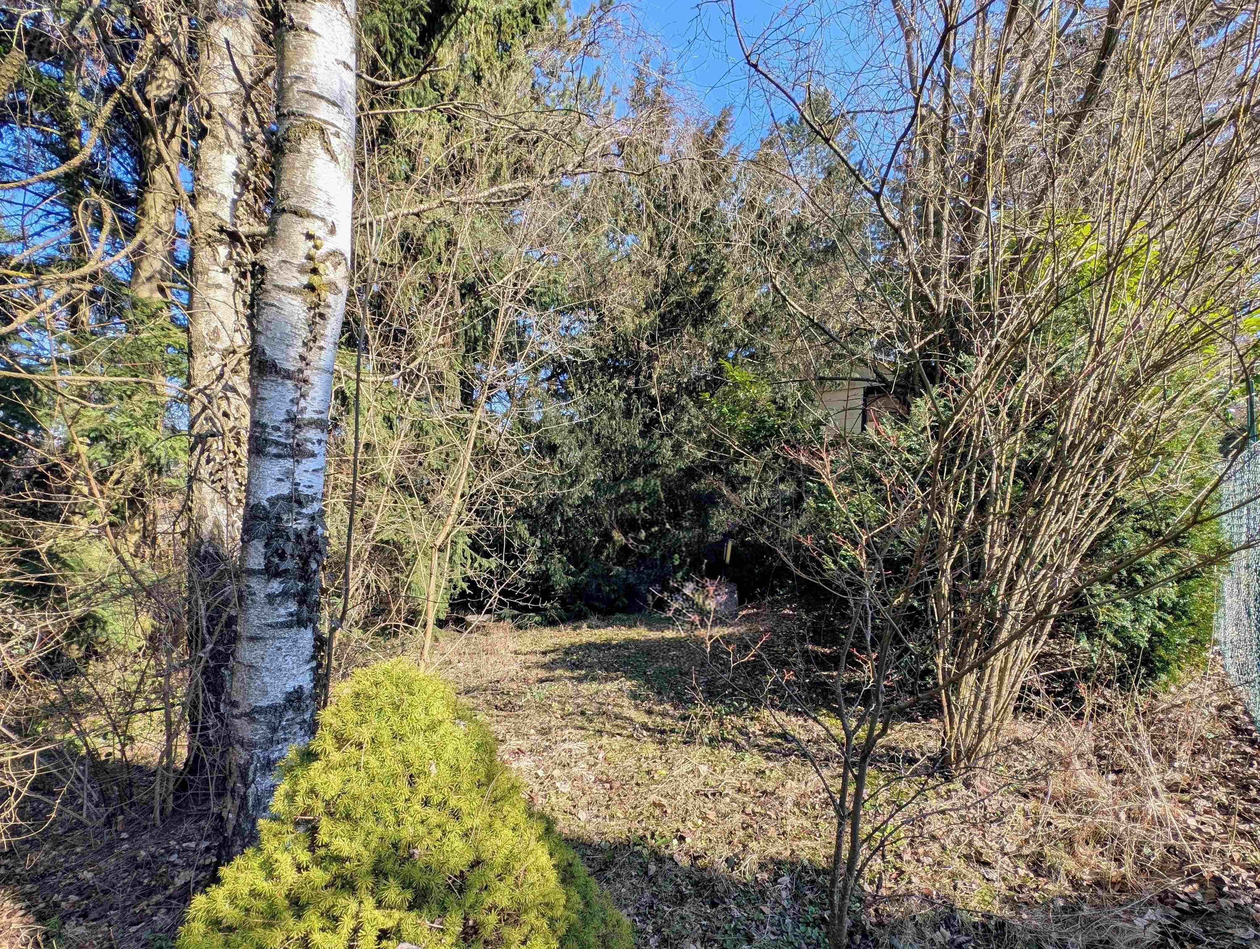 *PREISREDUKTION* Baugrund in Waldrandlage nur ca.15 km westlich von Wien - Ansicht 3