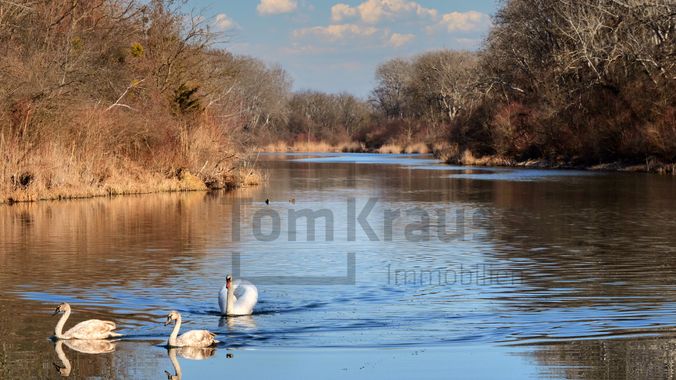 Lobau
