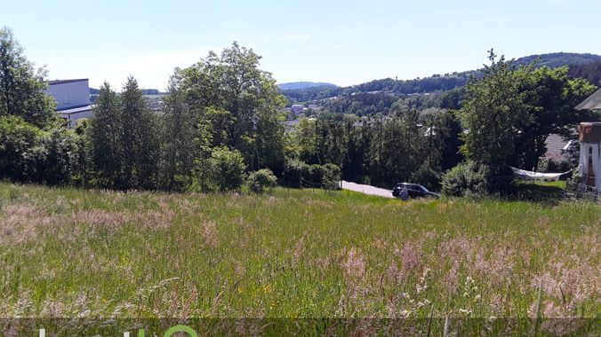 Ausblick nach Sueden