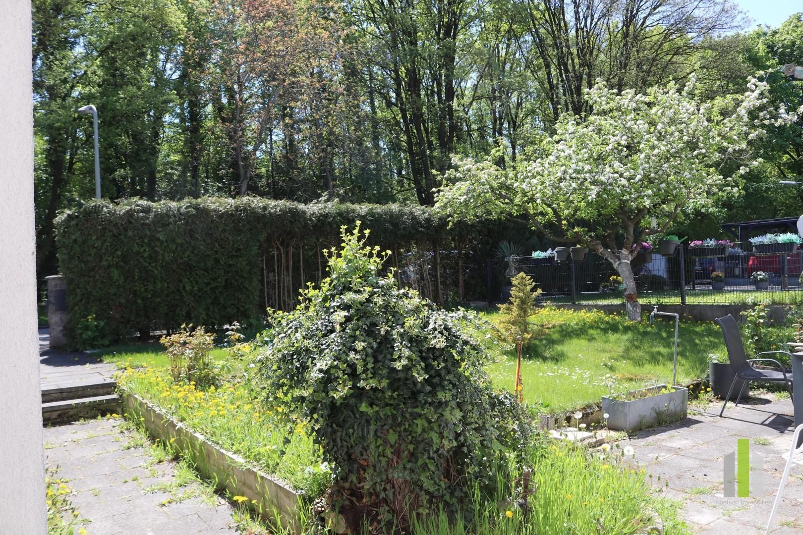 Wohngrundstück mit Altbestand in Freimann - Ansicht 4