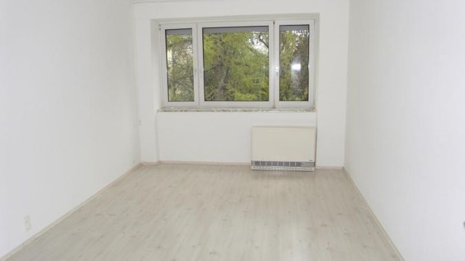 10 Zimmer gartenseitig