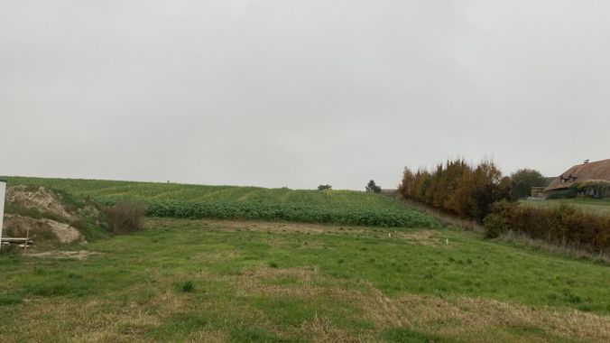 Grundstück