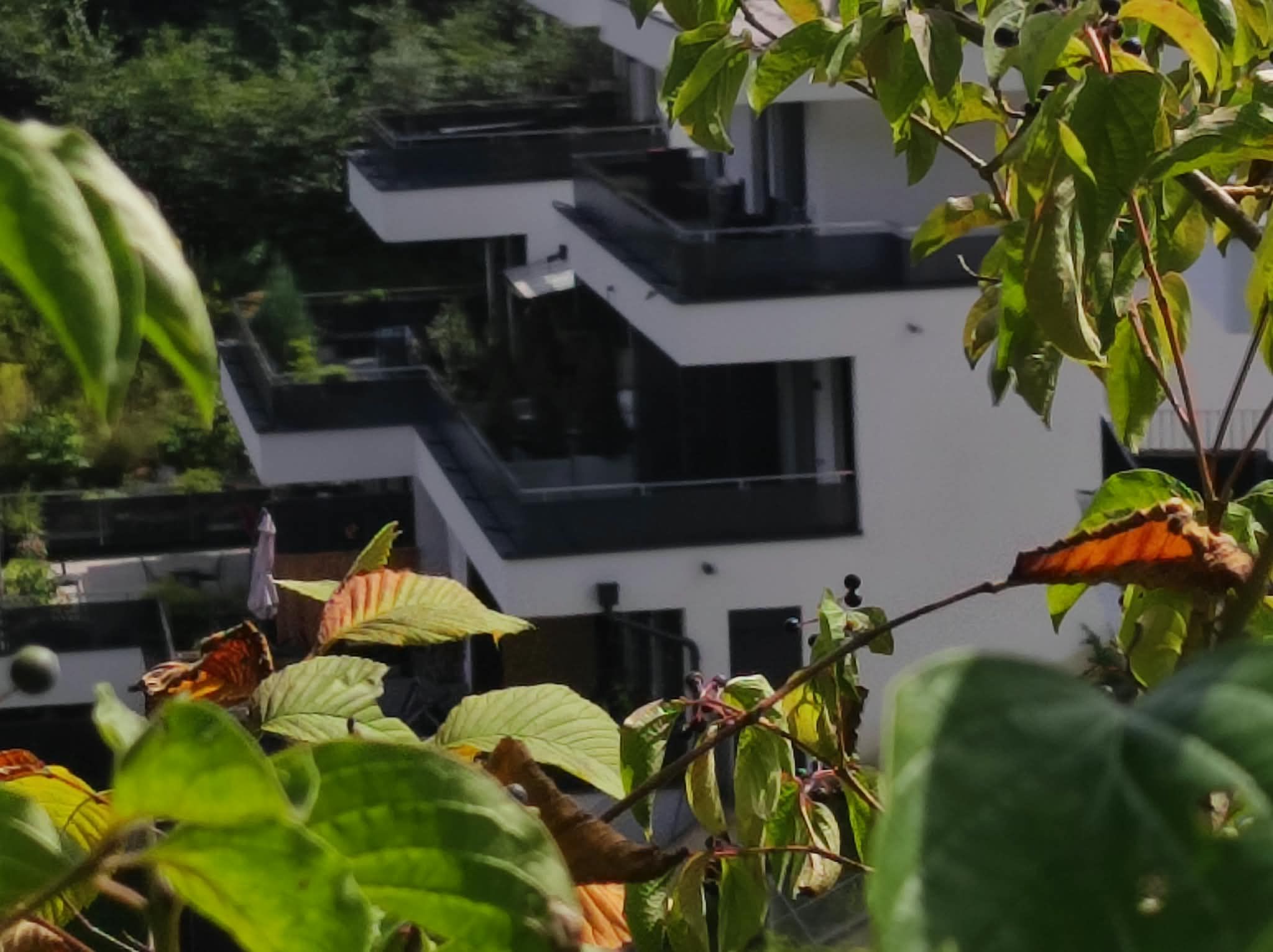 Wohnung – Innsbruck - Ansicht 2