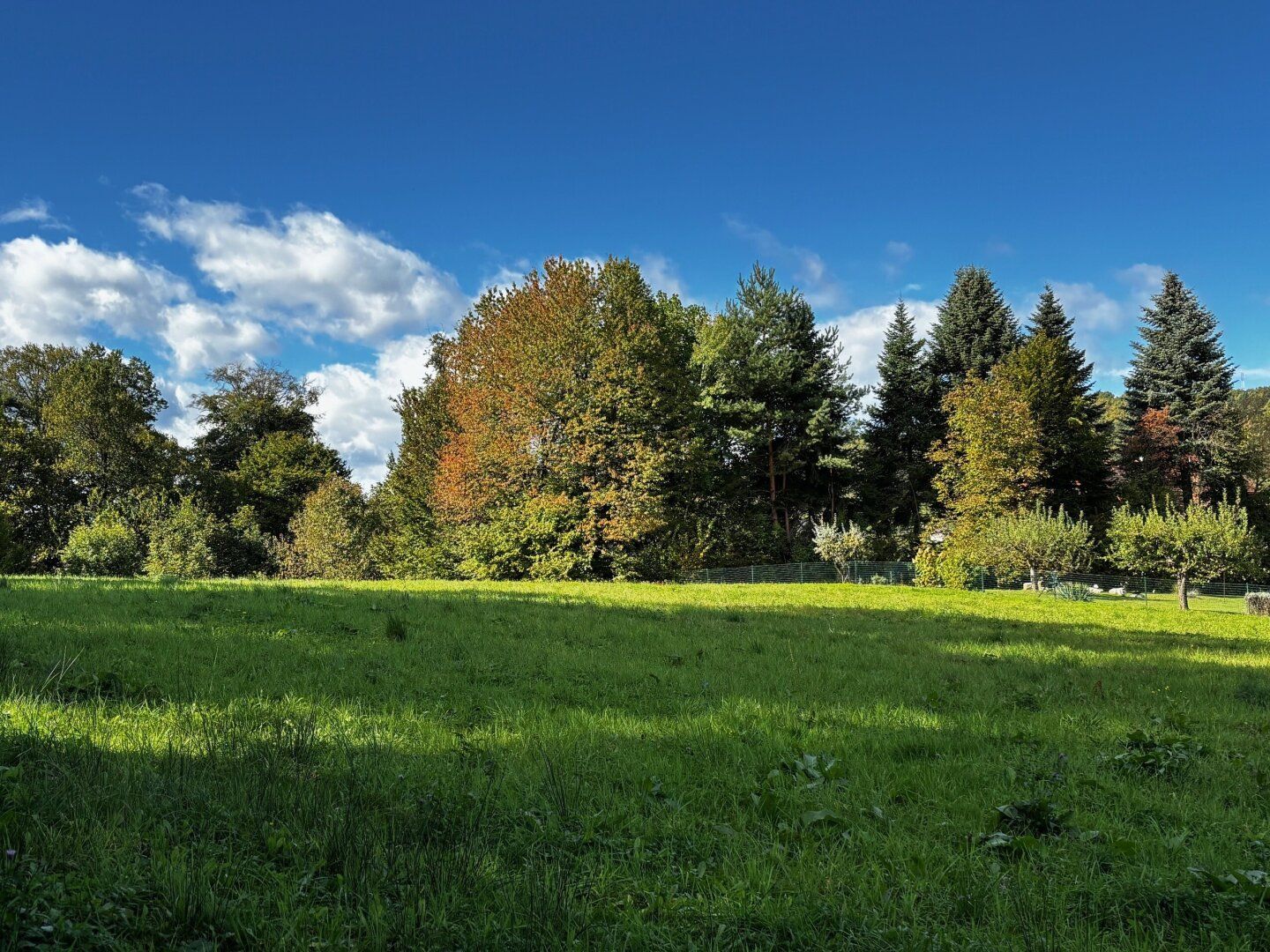 Baugrund G08 in ruhiger Aussichtslage, weitere Grundstücksgrößen verfügbar - Ansicht 2