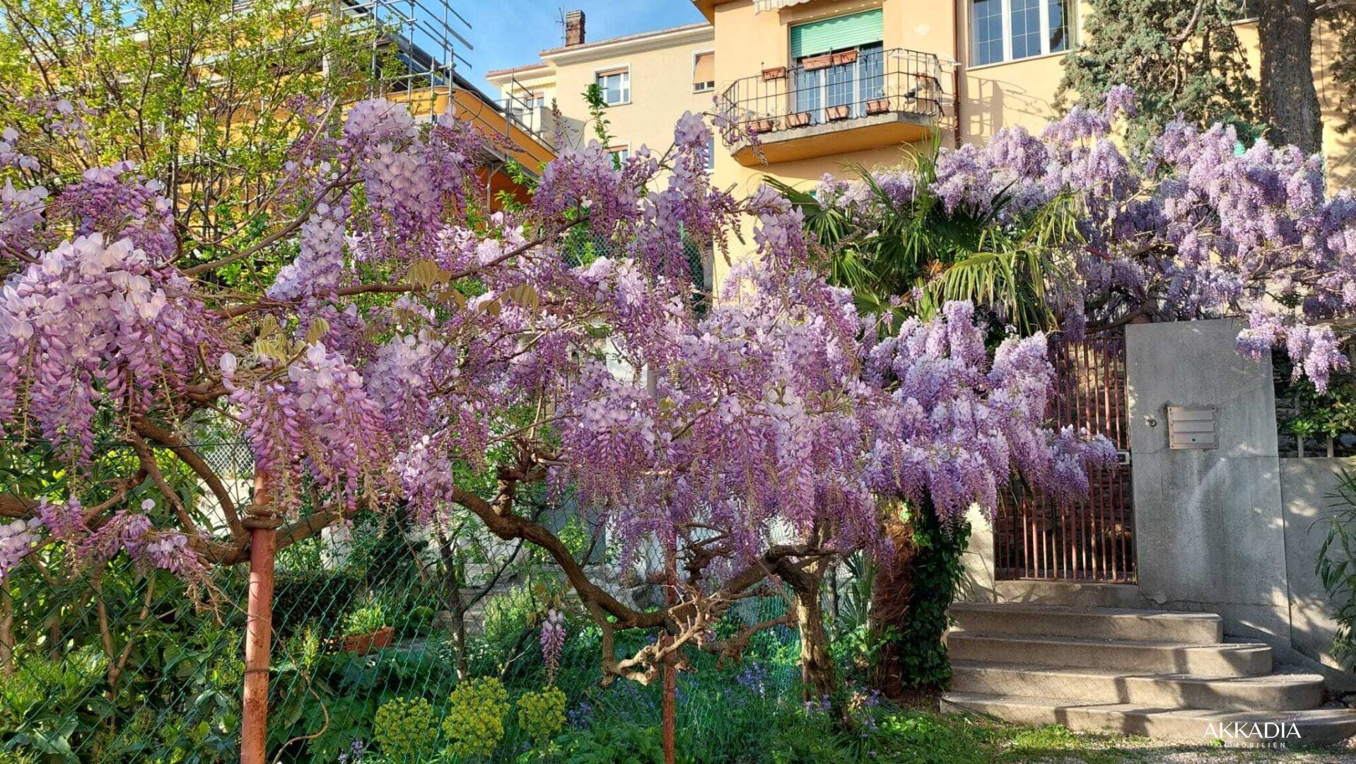 Wohnung – Trieste - Ansicht 3