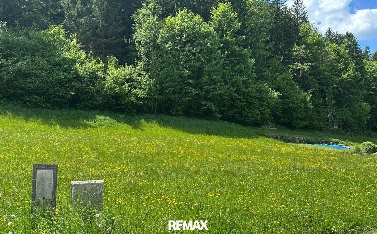 Baugrundstück in Naturlage - Ansicht 5