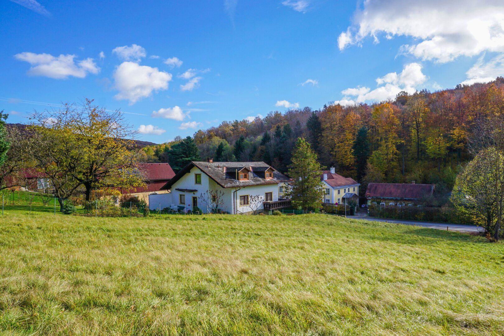 Großzügiges, naturnahes Grundstück in sonniger Ruhelage und mit herrlicher Aussicht - Ansicht 5