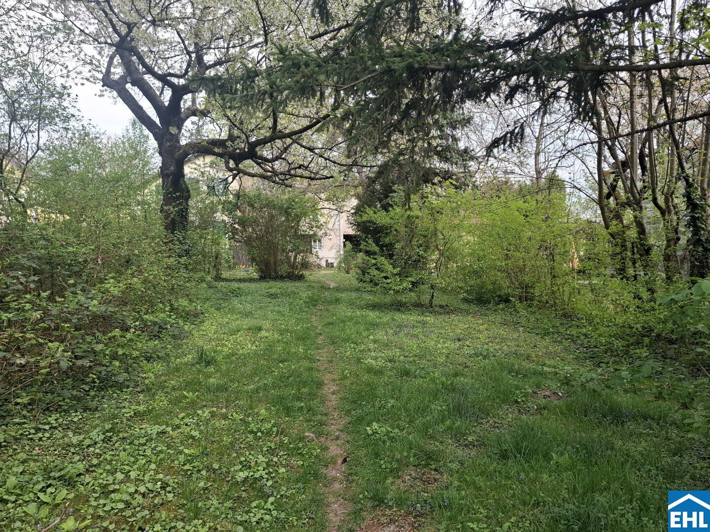 Großzügiges Grundstück mit Altbestand in begehrter Lage von Maria Enzersdorf - Ansicht 3