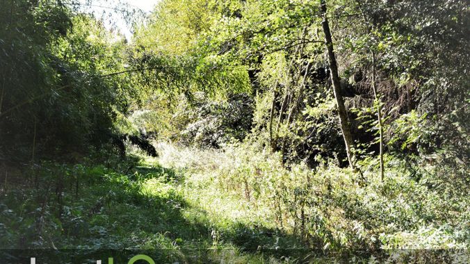 10587_Bild_2.jpg