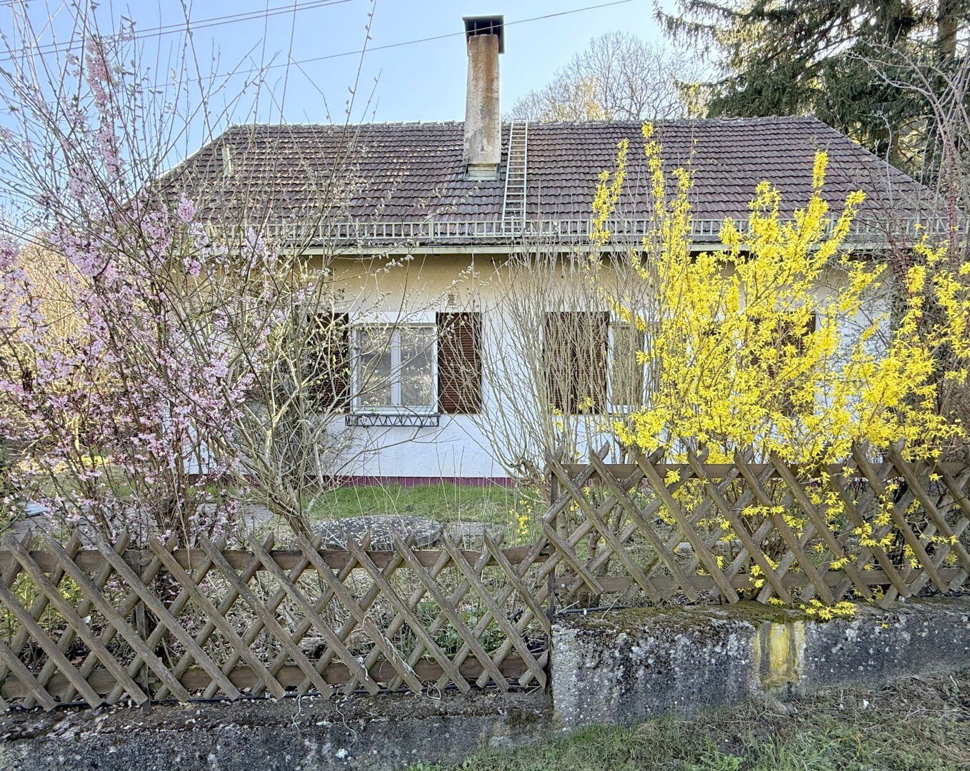 Retreat Forever - Wo die Seele Urlaub macht!