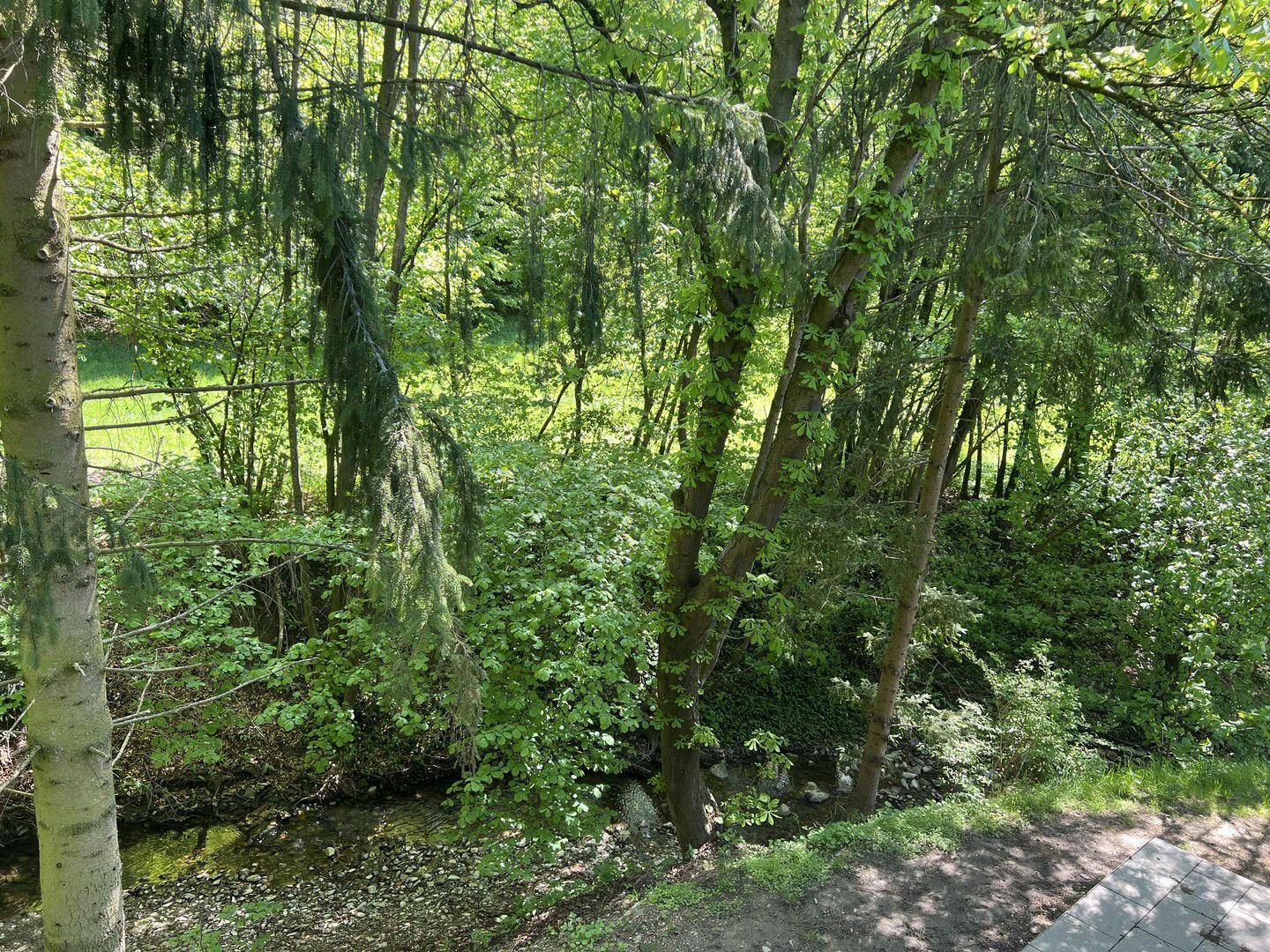 Wohnen am Bach