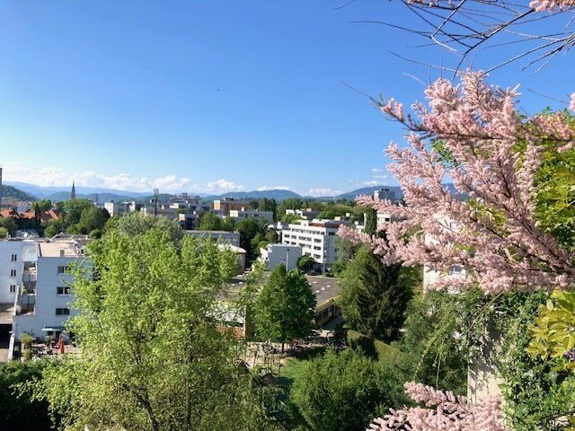 Terrassenhighlight in St. Peter: 5 Zimmer & 95 m² Dachterrasse und Dachgarten mit Panoramablick!
