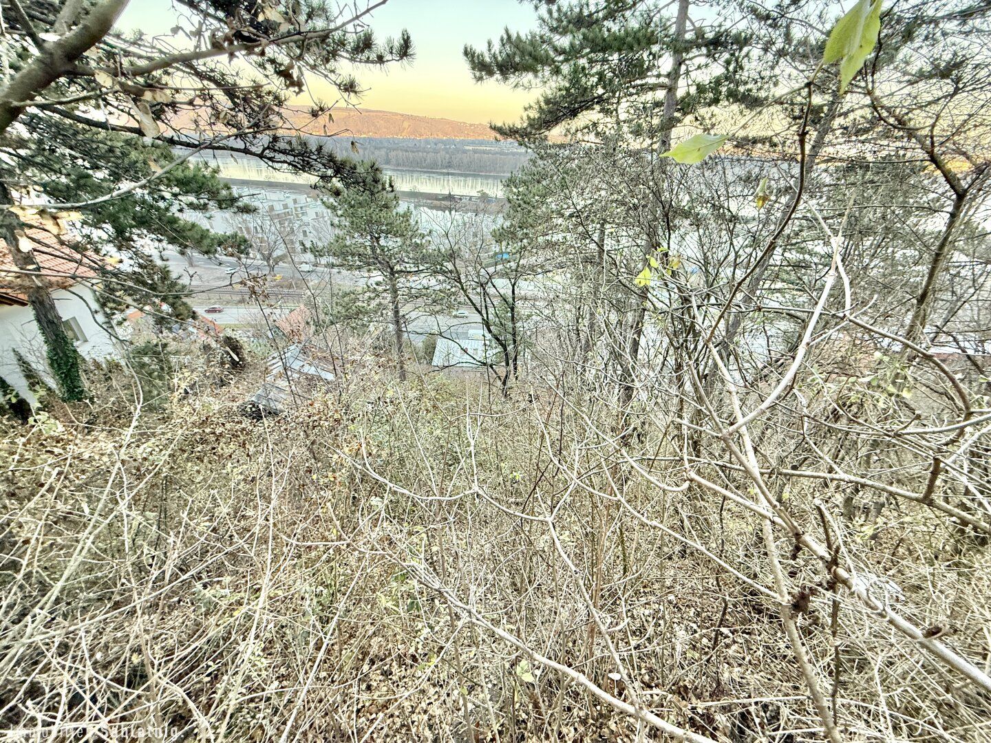 Traumhaftes Grundstück im Naturschutzgebiet - 880 m² mit Berg- und Donaublick! - Ansicht 2
