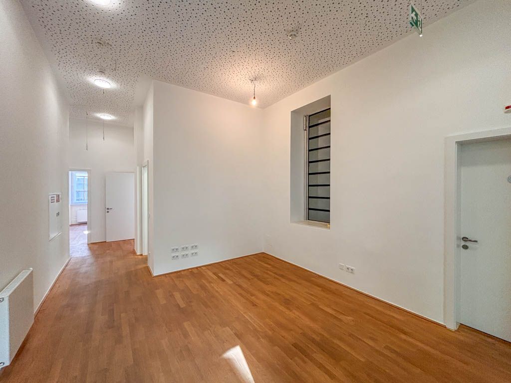 Repräsentatives Büro im prachtvollen Palais Schwab - Ansicht 3