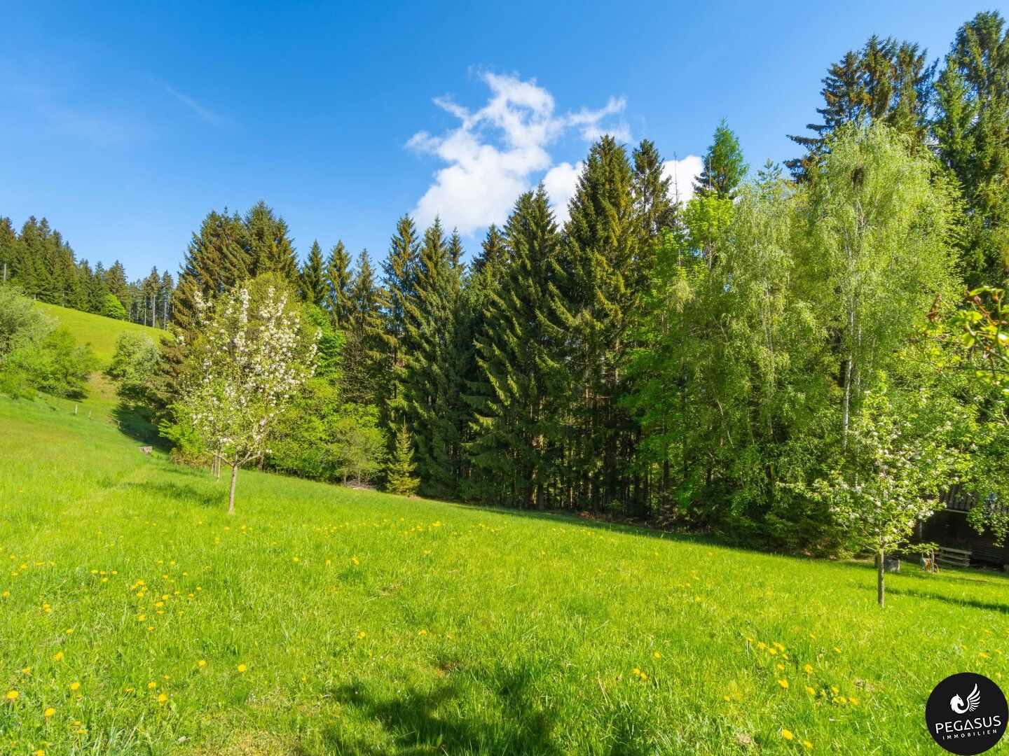 Ruhe, Natur und ganz viel Platz für Familienträume - Semriach - Ansicht 2