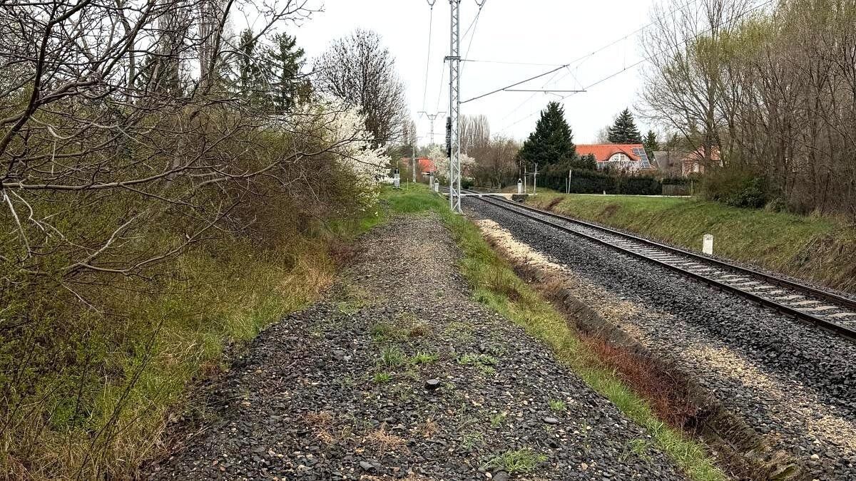 Großes Entwicklungsgrundstück nahe Balaton mit Projektpotenzial - Ansicht 5